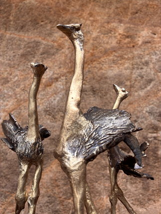 autruche bronze